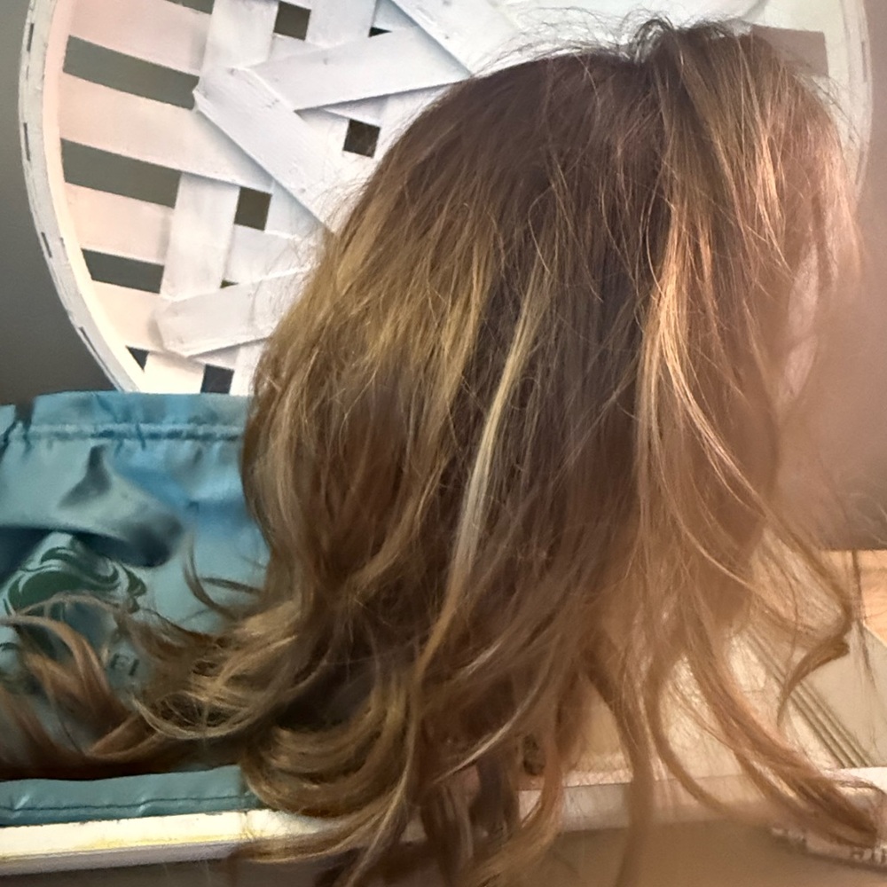 Nel’s Wigs NWT Natural Light Brown Rooted Color - Soft Warm Highlights with Lace - Picture 7 of 11